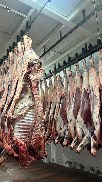 Cámara frigorífica con medias reses